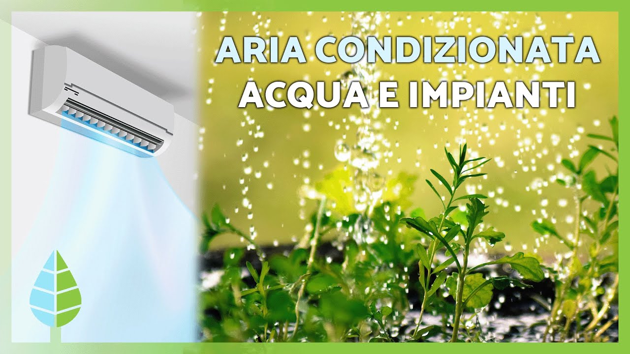 Acqua del Condizionatore per le Piante 🌿💧 È Sicura? Quali Piante Possono Essere Annaffiate 💧🌱