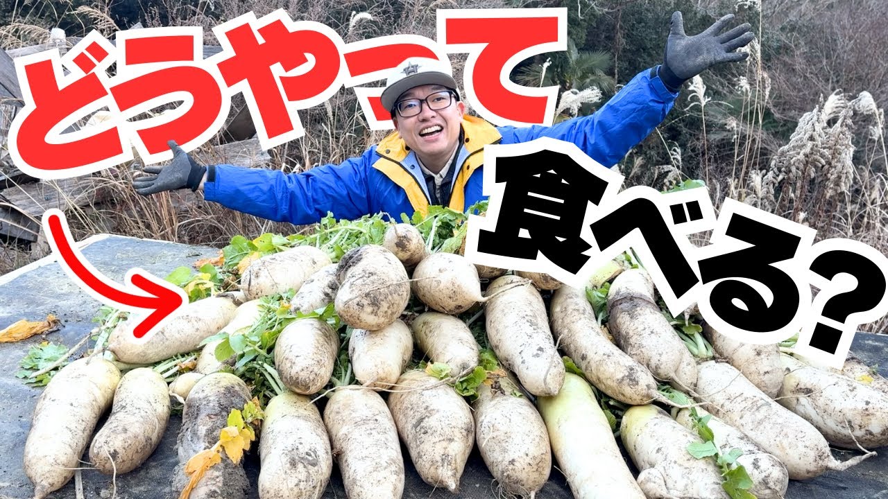 大量にもらったおでん大根をどうする？洗って切って保存します！