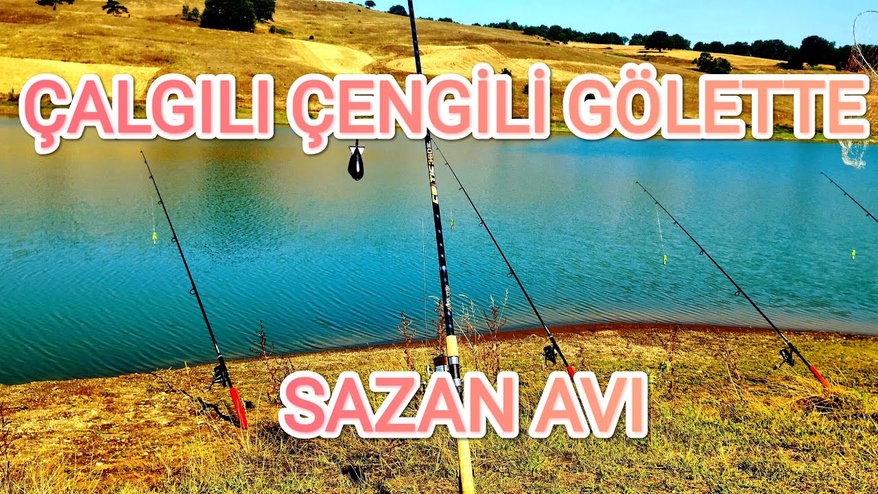 ÇALGILI ÇENGİLİ GÖLETTE SAZAN AVI balık tutmaktan yorulduk #carpfishing#fishing#çalgı#sazanavı