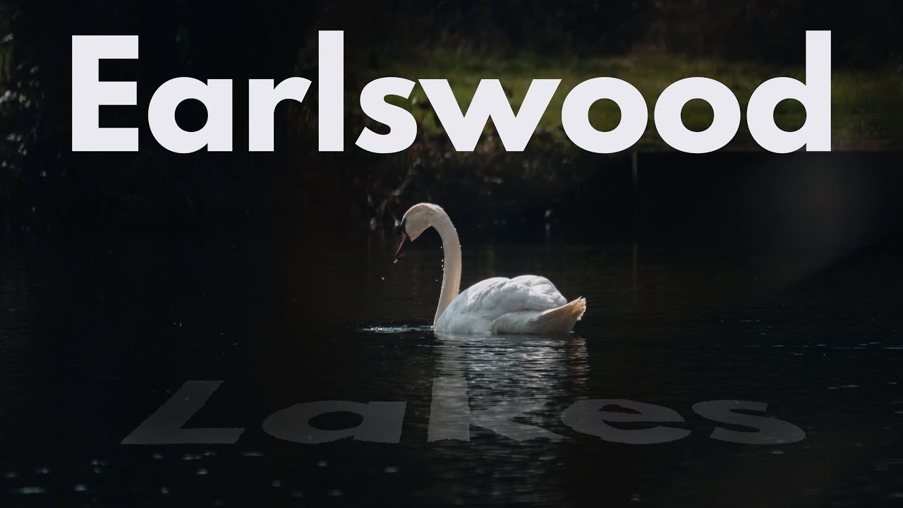 Earlswood Lakes | Cinematic | Fujifilm XT-5