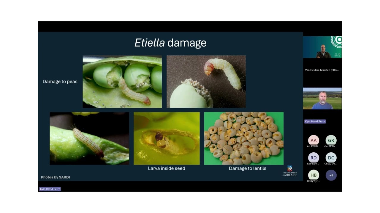 PestFacts SA Webinar, September 2025