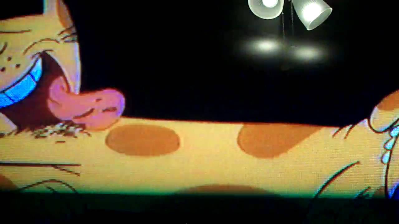 Catdog Theme Intro And Lyrics.