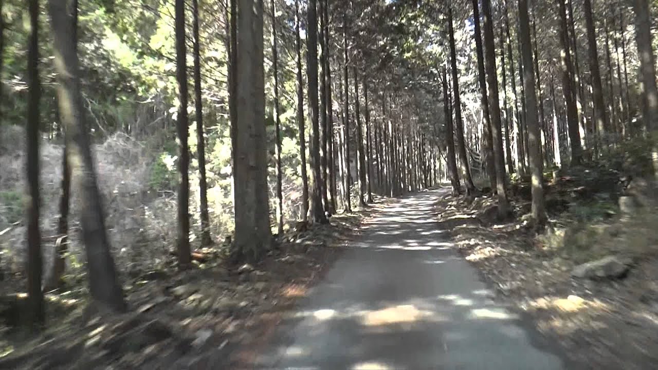 七種の滝最終ルート
