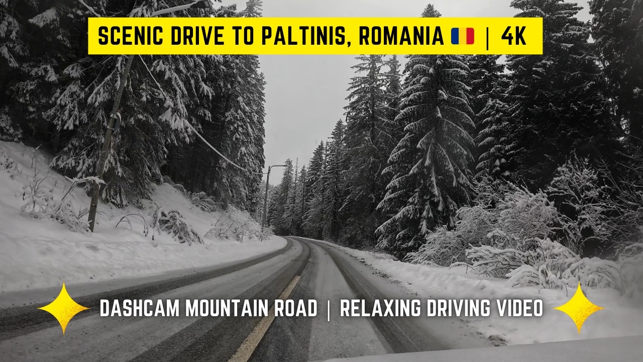 Snowy Mountain Drive 4K ❄️ to Păltiniș | Winter Road Trip Romania (GoPro POV)