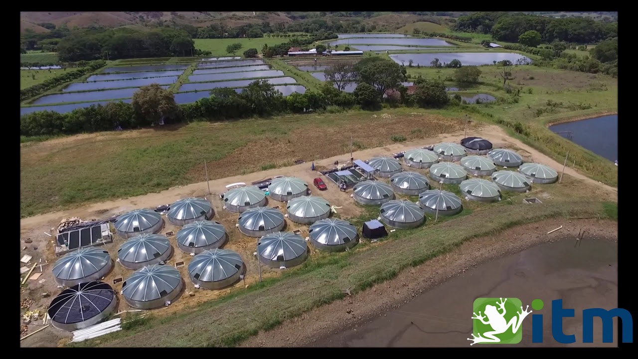 Proyecto piscicola intensivo de Tilapia