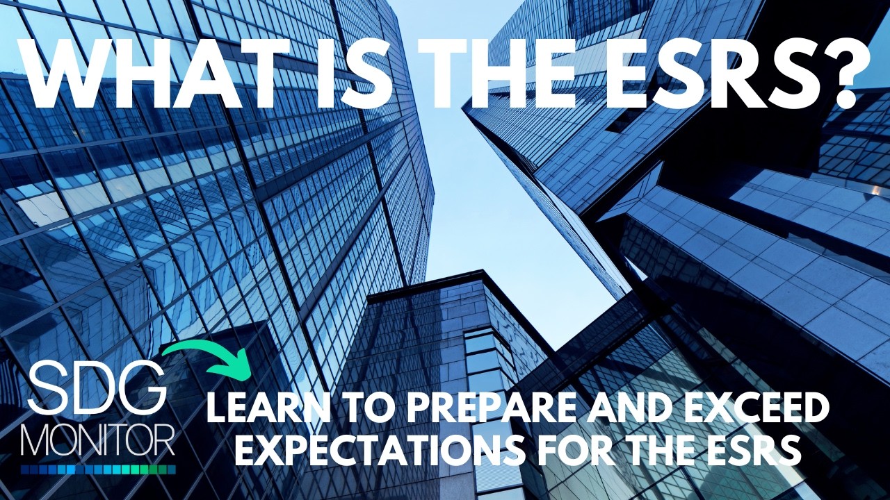 What is the ESRS?