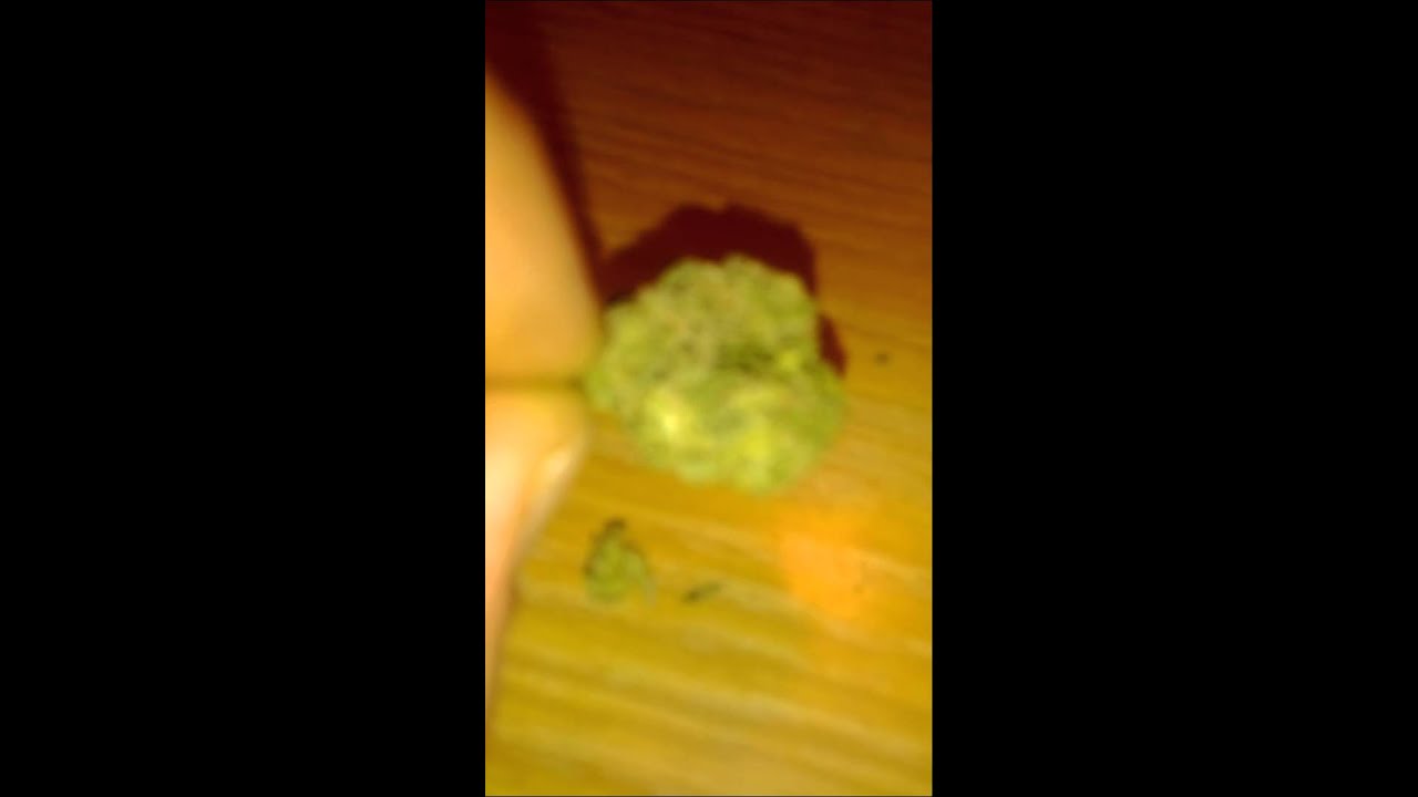 BJBlazin: Blue Dream Review