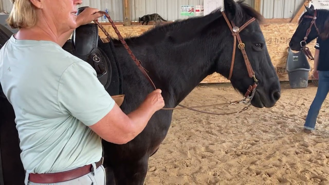 Learn the One Rein Stop for Safety! SUBSCRIBE and ENJOY 