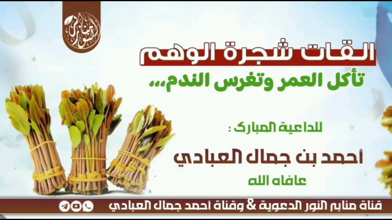 ١ فبراير، ٢٠٢٦