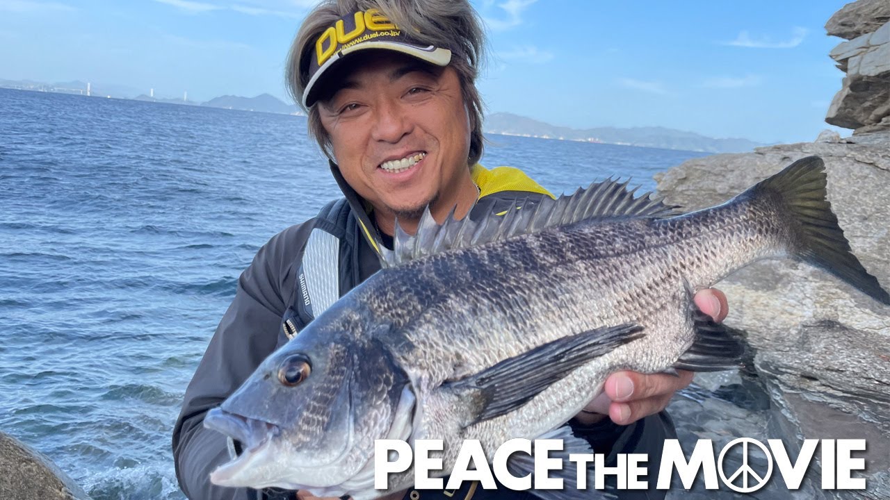 PEACE THE MOVIE #120 「瀬戸内のチヌとの出会い、大物も!?」四国地方・愛媛県今治の旅 /平和卓也（1363）
