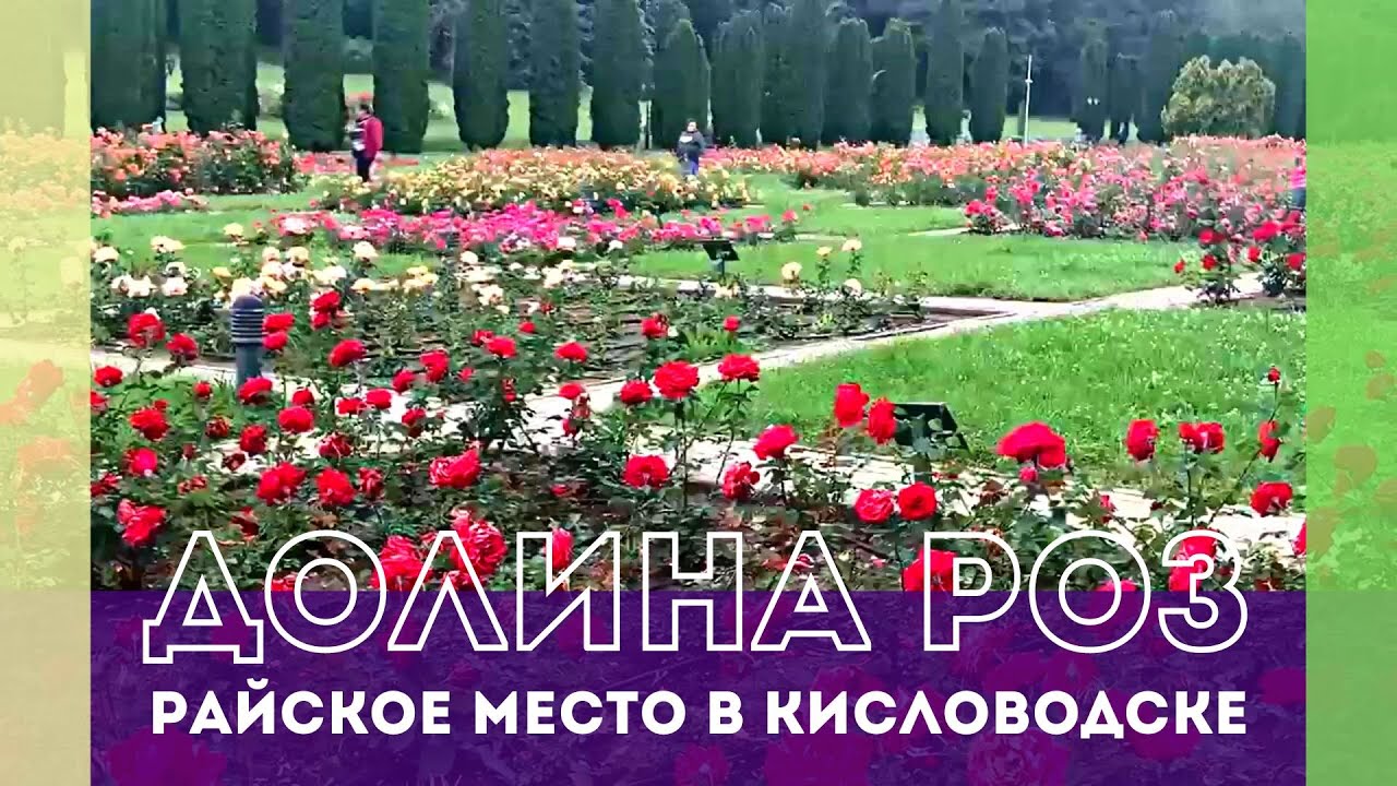 Приглашаю на прогулку в Долину роз - райское место в Кисловодске