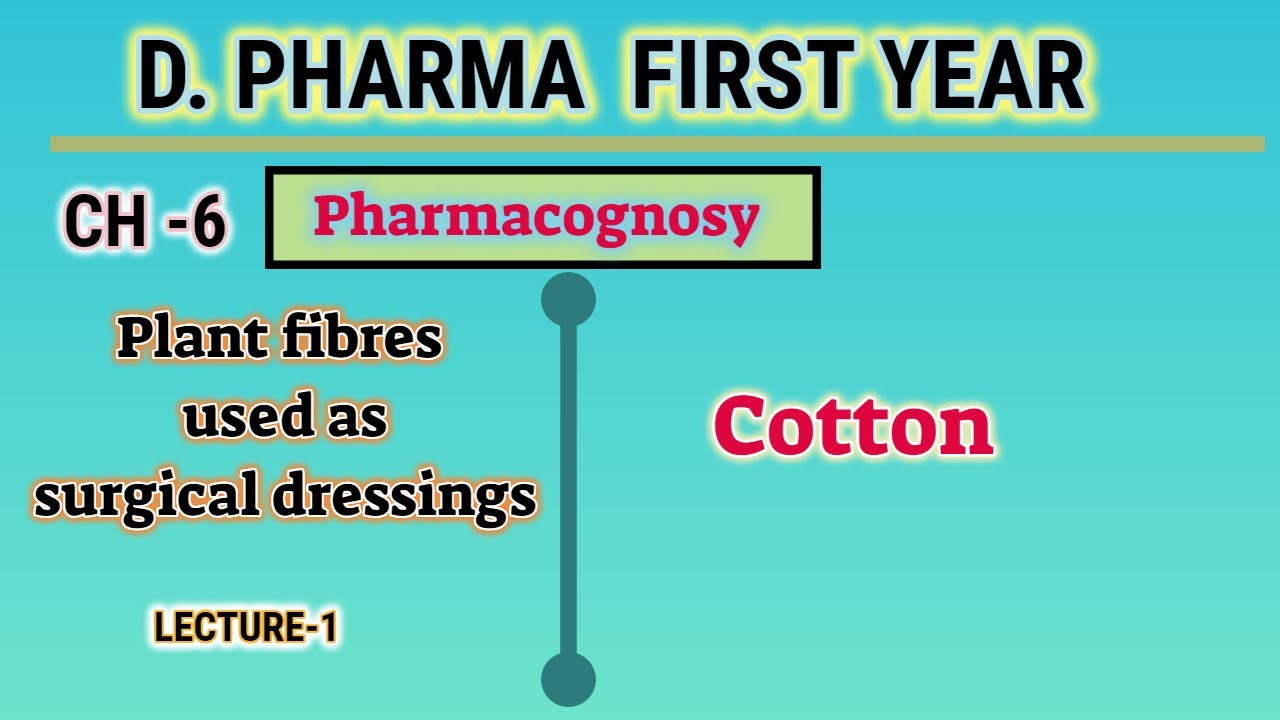 Cotton/L-1/CH-6/Plants fibres used as surgical dressings/Pharmacognosy/D.Pharm First year