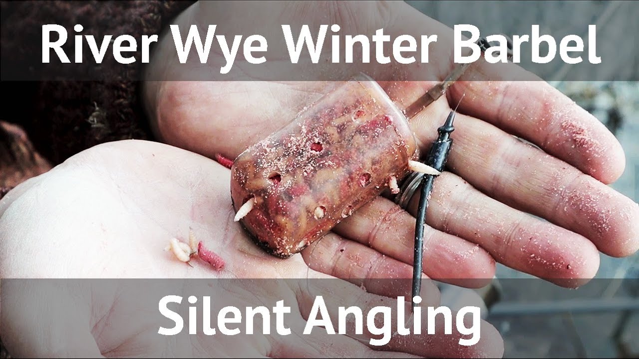 How to catch barbel clear cold river - Barbel fishing UK - River Wye - hints tips tricks
