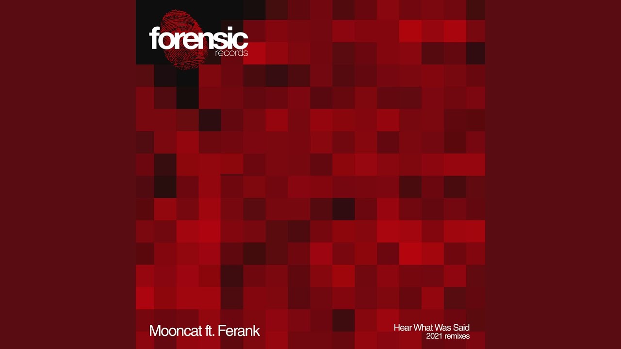 Hear What Was Said feat. Ferank (D-Nox & Beckers Remix)