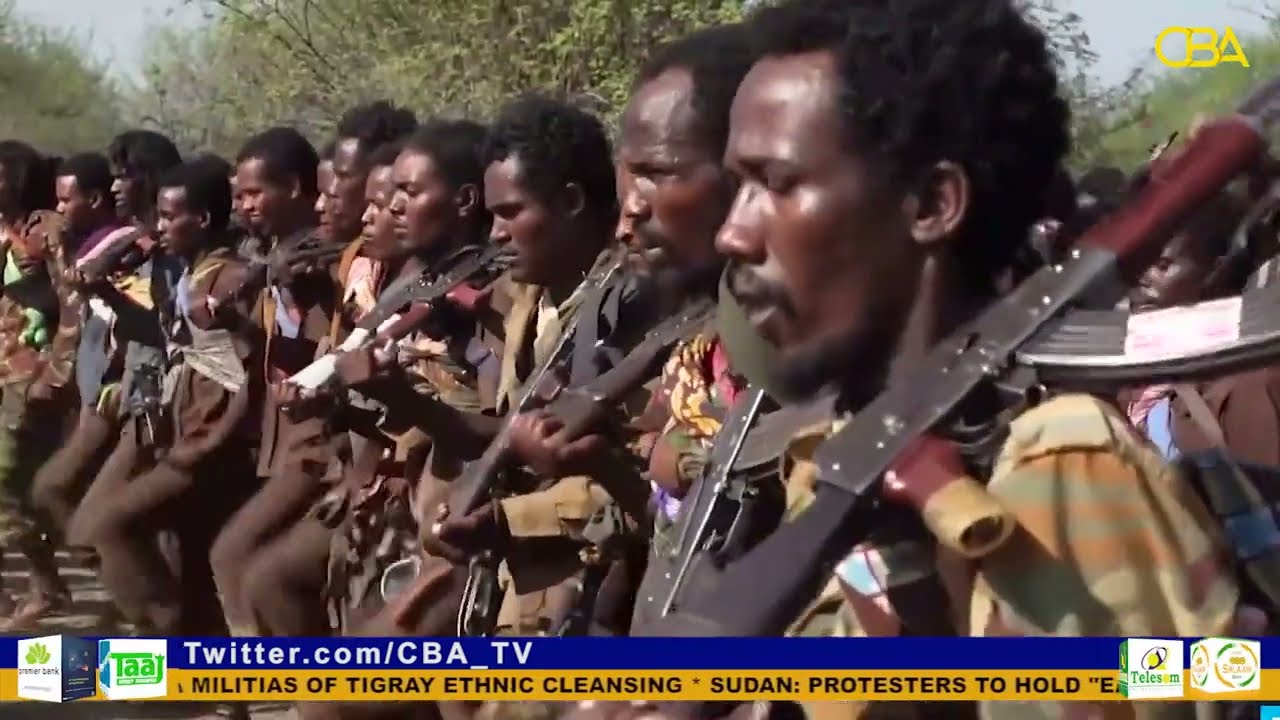 Human rights bodies accuse Ethiopia militias of Tigray ethnic cleansing