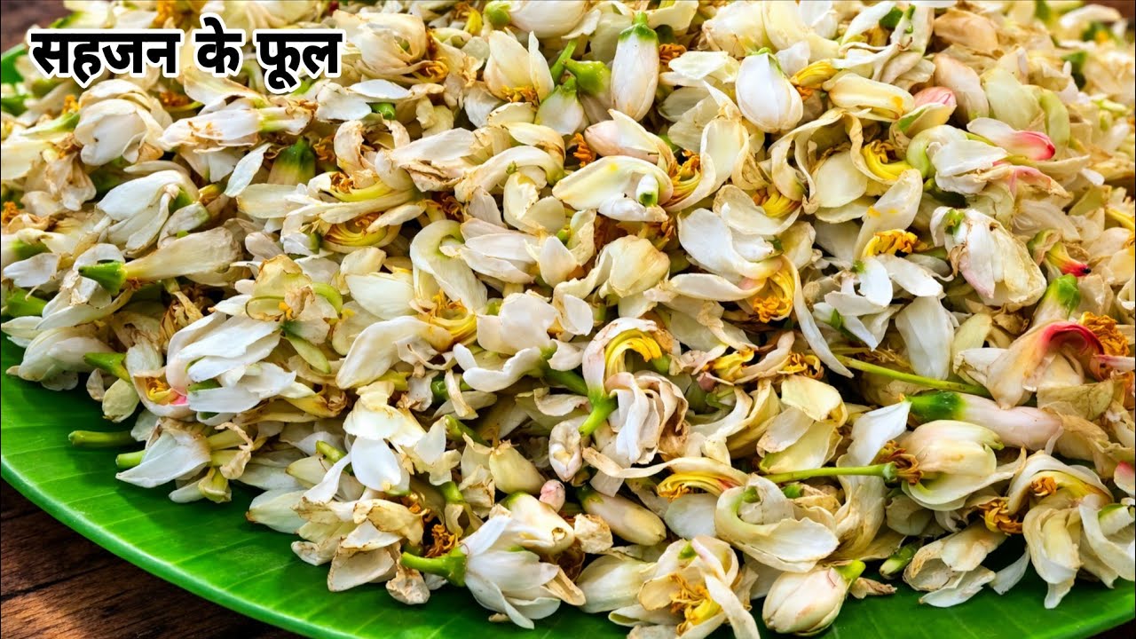 सहजन के फूल रेसिपी -अगर आप इसे इस तरीके से पकाएंगे तो घर में हर कोई प्लेट चाटकर इसे खा जाएगा/Sahjan 