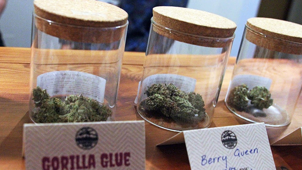 Origins of weed day: Where did &lsquo;420&rsquo; come from?