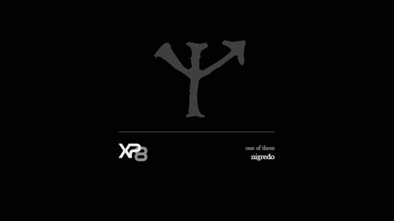 XP8 