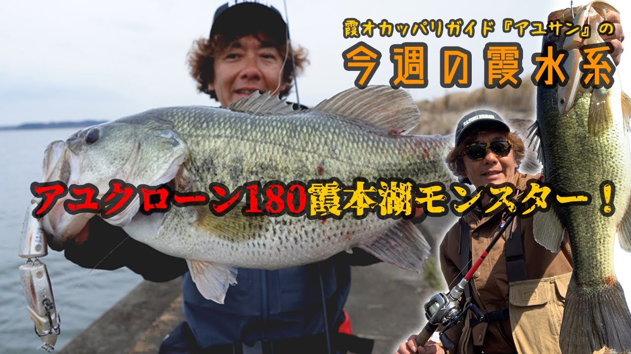 アユクローン180で霞本湖のモンスターバス！『霞オカッパリガイド・アユサンの今週の霞水系』