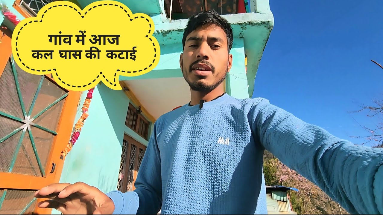 गांव में आज कल घास की कटाई | pahadi lifestyle vlog | #dharmupahadi 