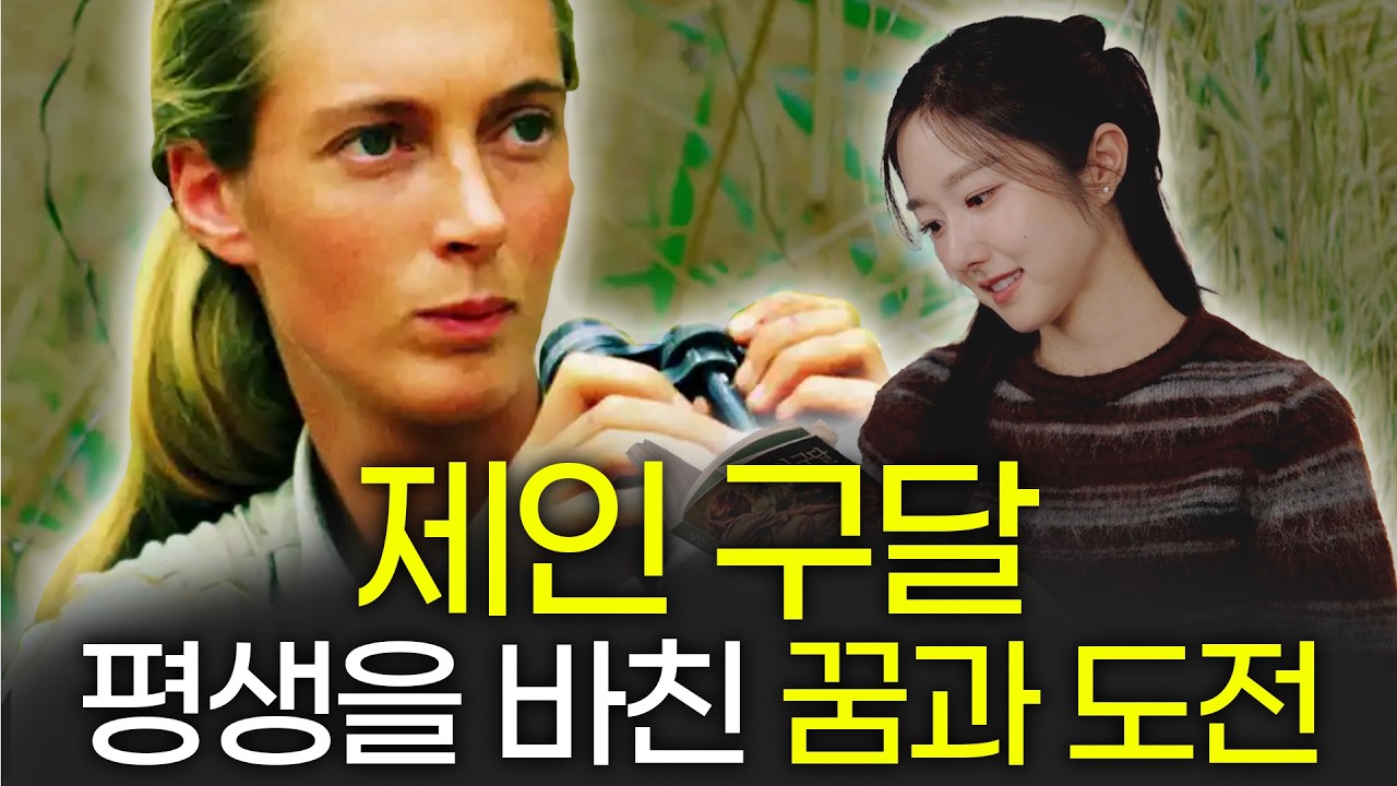제인 구달 박사를 추모하며..80년간 지켜온 그녀의 꿈과 신념ㅣ『제인구달, 침팬지와 함께 한 나의 인생』
