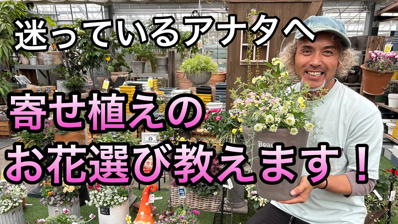【寄せ植え】園芸シーズンの悩み…選びきれない！を解決☆とにかく、好きを詰め込んで楽しもう♪