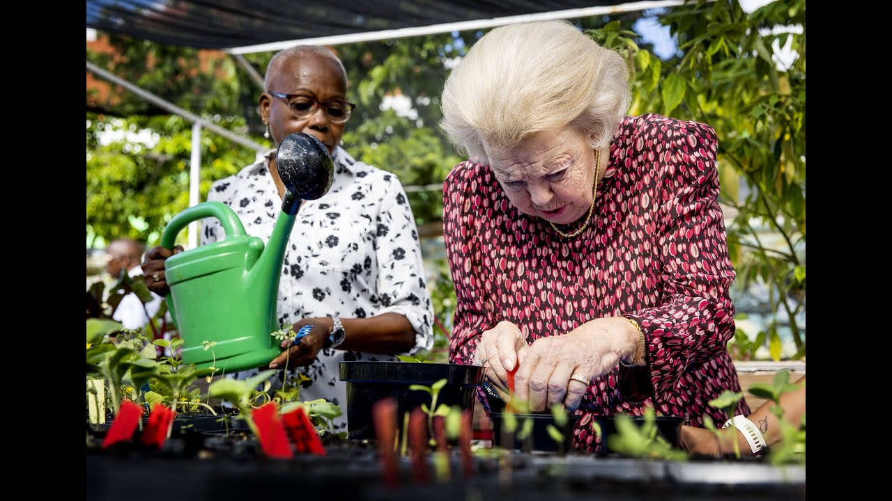 Beatrix plant zorgvuldig bonen op Curaçao