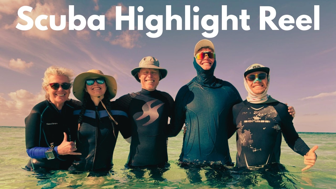 Scuba Highlight Reel: Cozumel Smith Family Trip