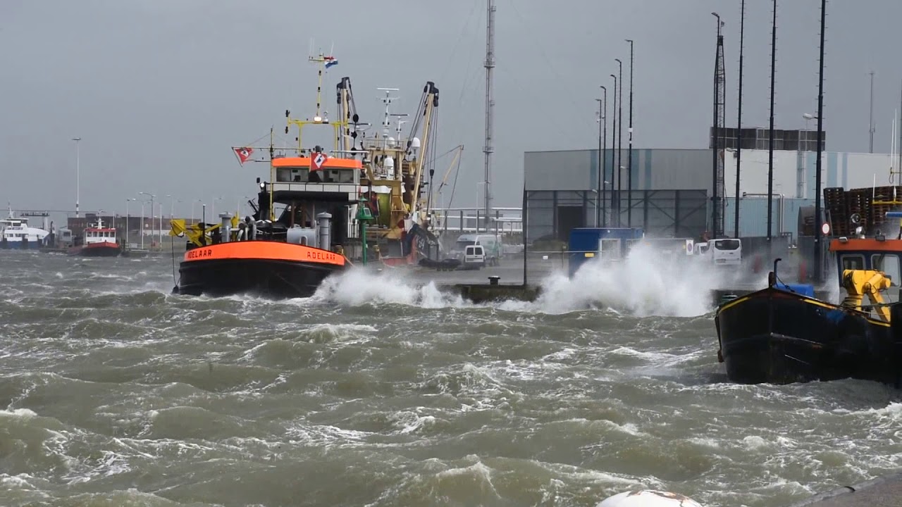 Storm aan de kust van Harlingen ( 13-09-2017 )