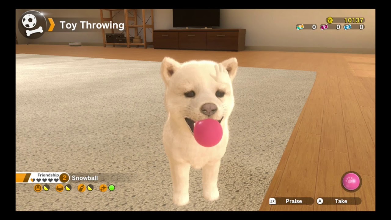 Playing some Little Friends: Dogs & Cats (Part 1)