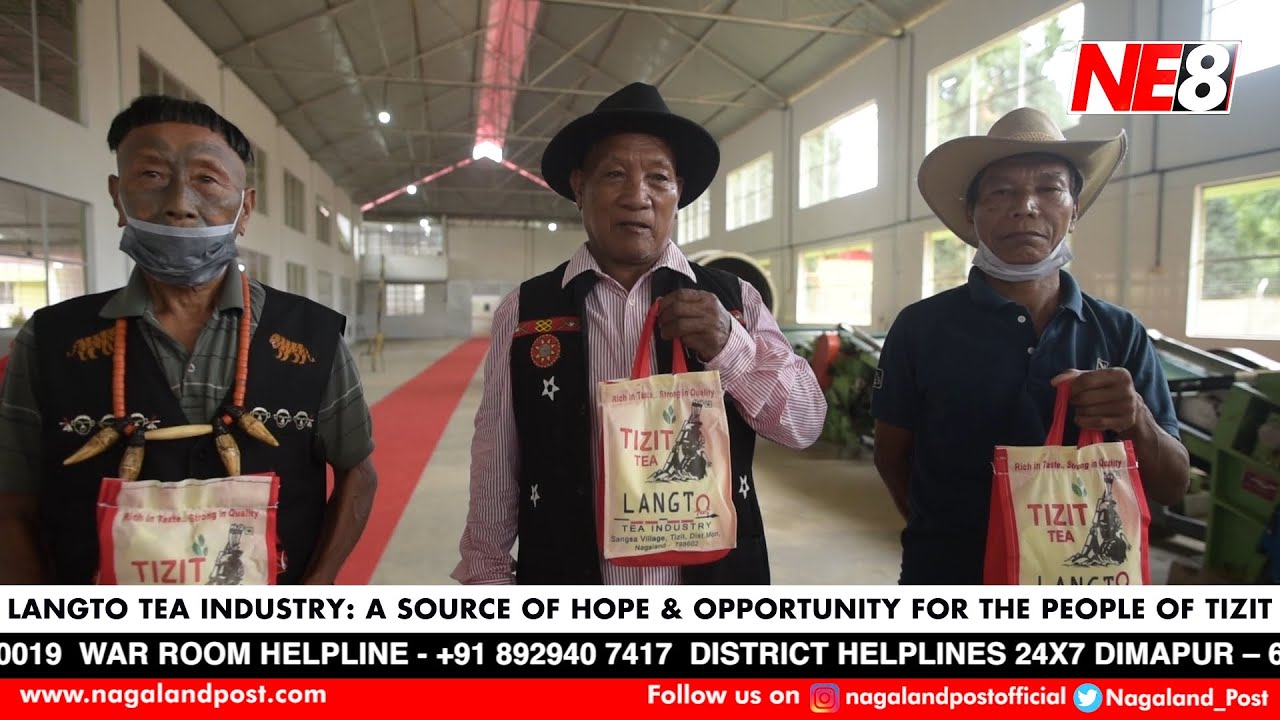 Langto Tea Industry: A source of hope and opportunity for the people of Tizit