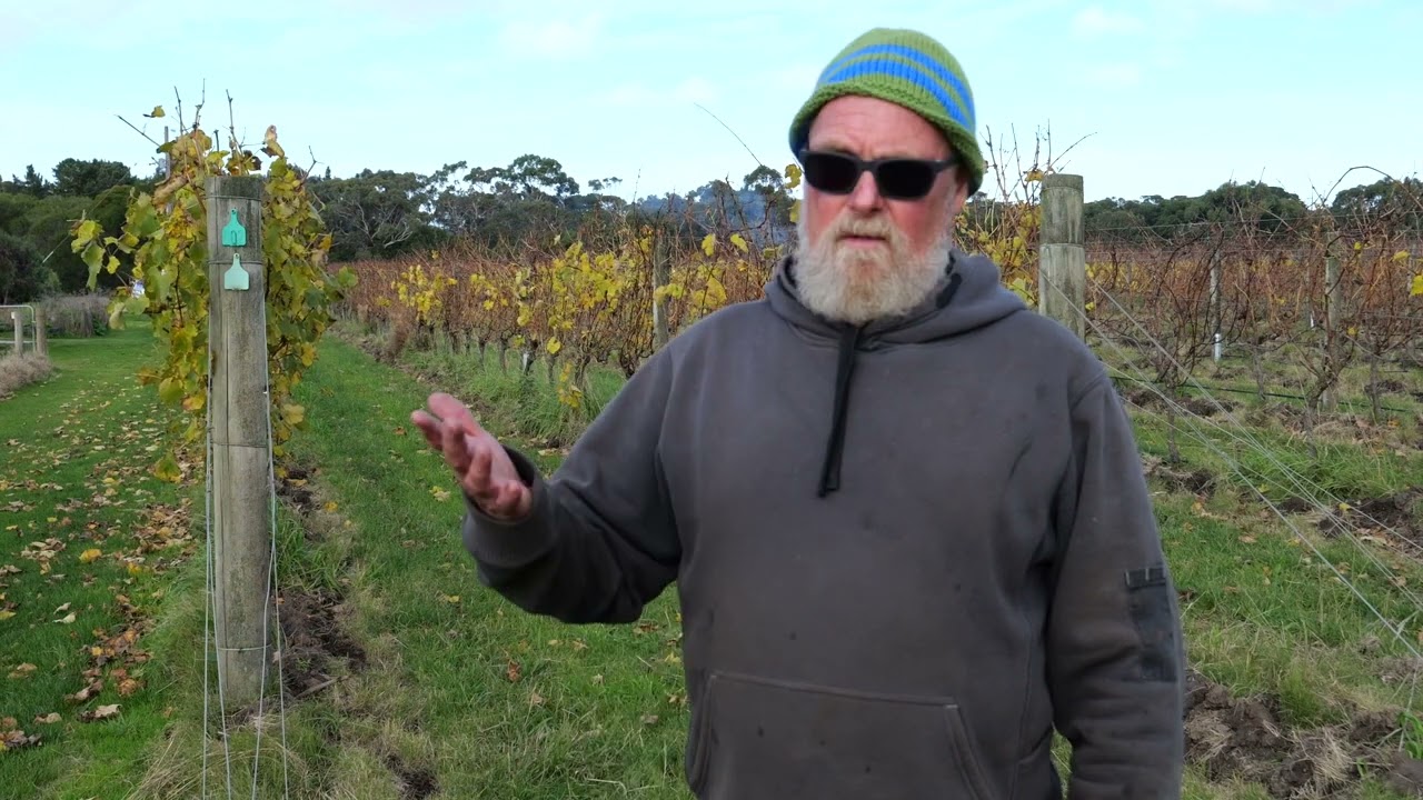 Joe shares his regenerative agriculture journey at 100 Hunts vineyard