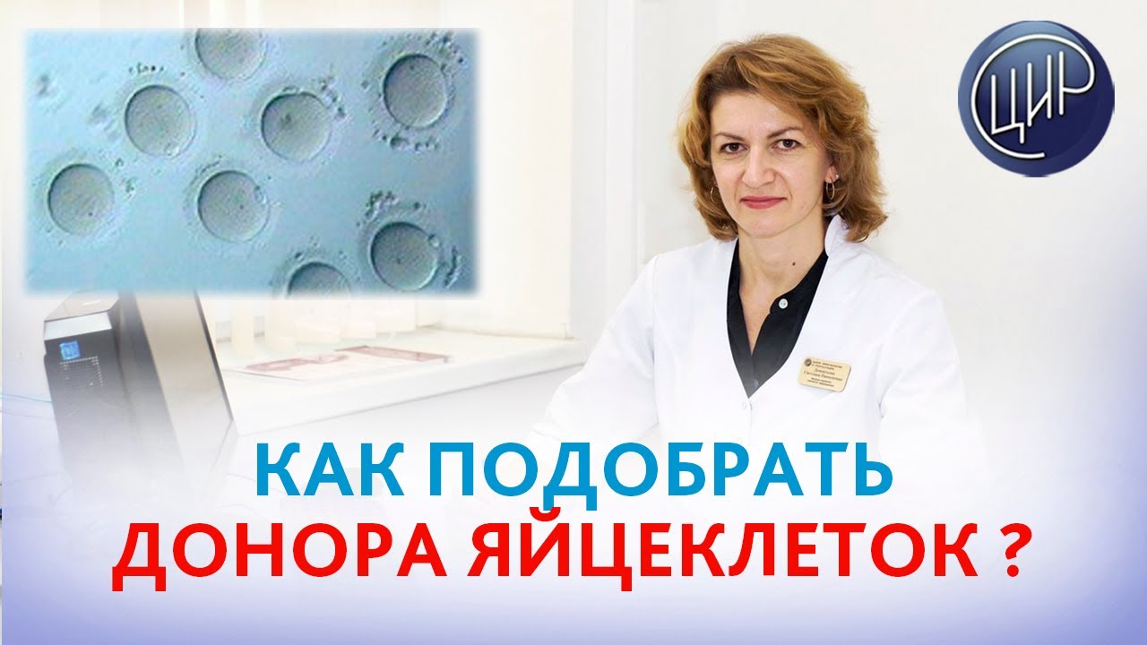 Как подобрать донора яйцеклеток для программы ЭКО? Акушер-гинеколог ЦИР Дементьева С.Н.