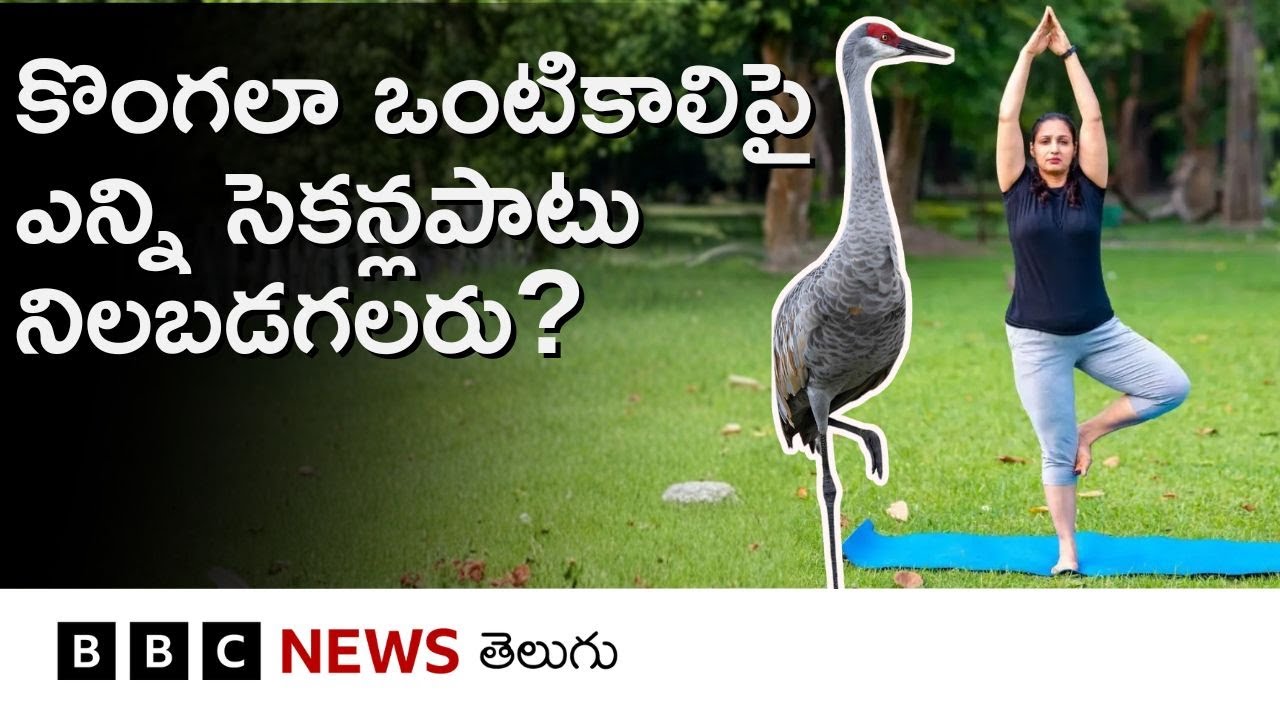 కొంగలా ఒంటికాలిపై ఎంతసేపు నిల్చుంటారు? ఈ Test మన ఆరోగ్యం గురించి ఏం చెబుతుందంటే.. | Health