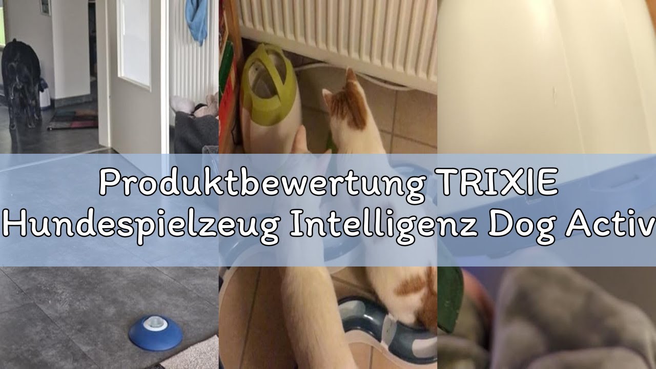 Produktbewertung TRIXIE Hundespielzeug Intelligenz Dog Activity Strategie-Spiel Memory Trainer 3.0 –