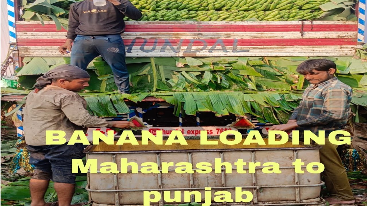 BANANA 🍌🍌 LAODING MAHARASTRA TO PUNJAB TRIP#viral #truckdriver #truckdriverlife 
