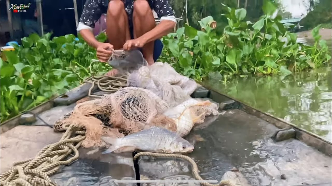 Buổi Sáng Chài Giựt Giây Cùng A Chì