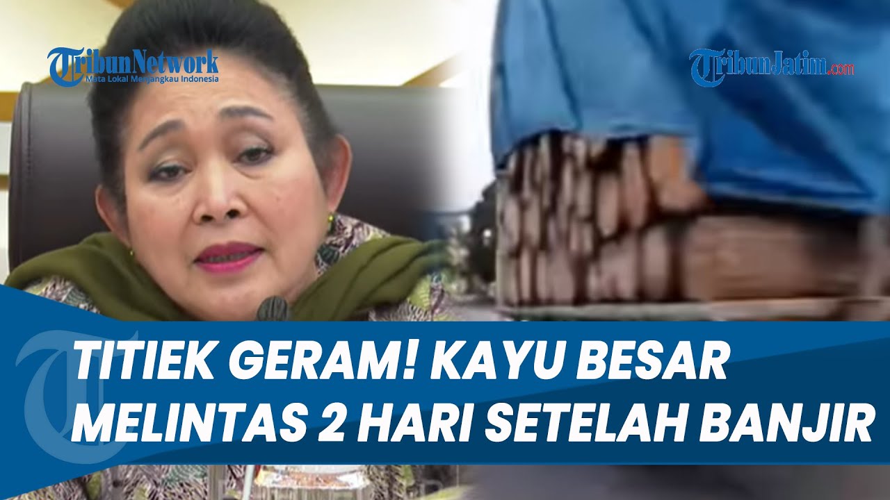 Titiek Soeharto Marah Besar! Kayu Raksasa Melintas 2 Hari Setelah Banjir: Ini Ngejek
