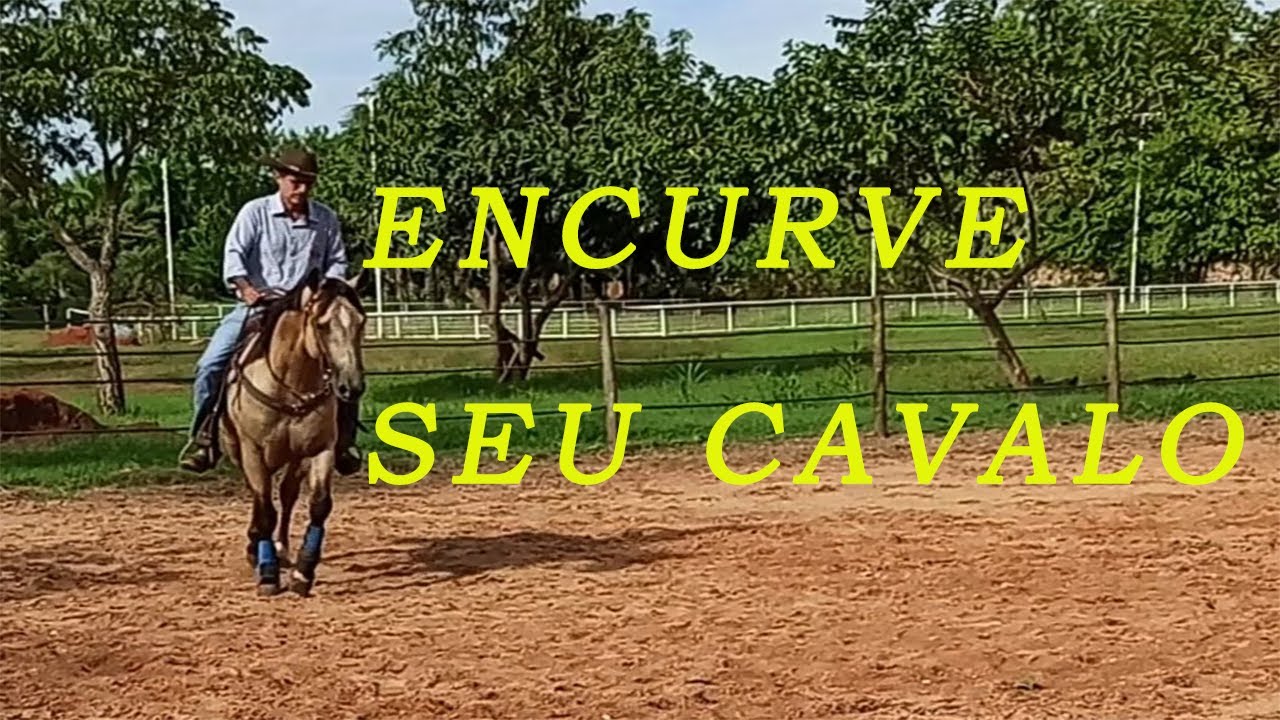 circulo
