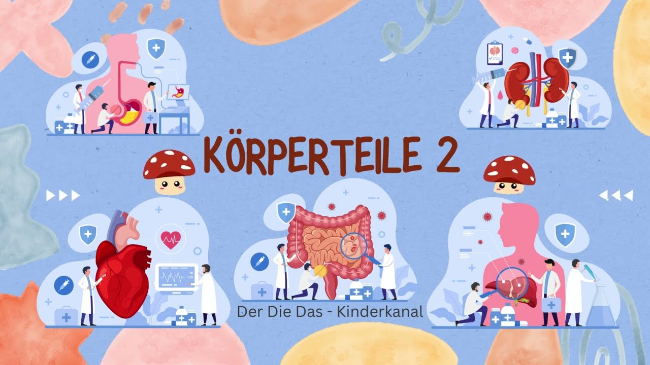 K&ouml;rperteile 2 | Organe f&uuml;r Kinder leicht erkl&auml;rt | Deutsch f&uuml;r Kinder | Lernen mit Spa&szlig; | DerDieDas