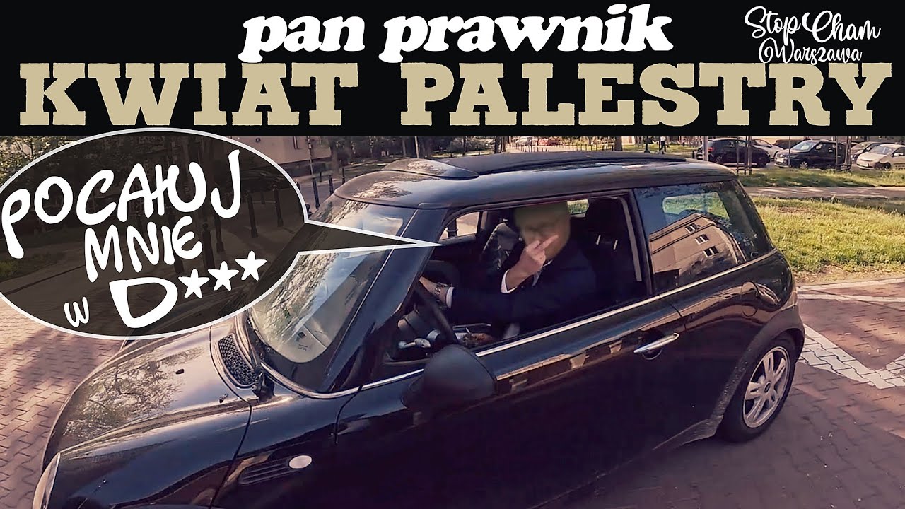 75 Pan prawnik - kwiat palestry