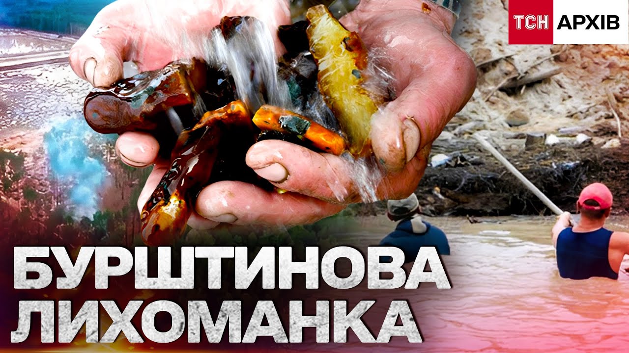 НЕЛЕГАЛЬНИЙ ВИДОБУТОК БУРШТИНУ В УКРАЇНІ: ХРОНІКА ВИКРИТТІВ ТА ЗНИЩЕНИХ ЛІСІВ | Архів