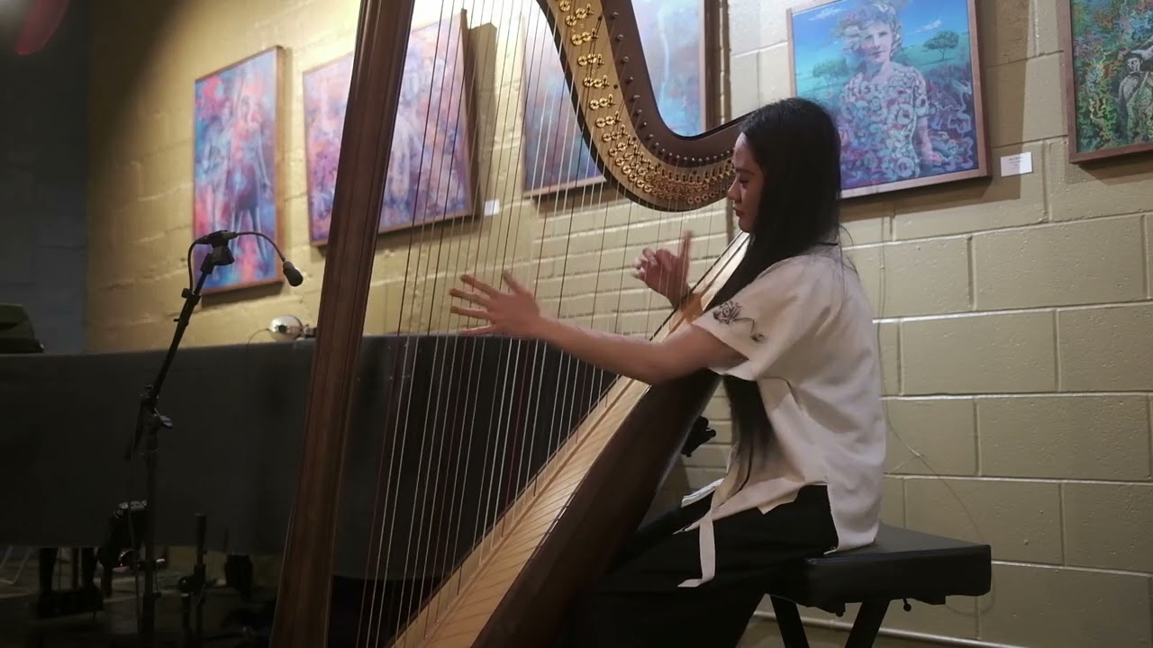 DJ Okawari - Flower Dance on harp, live performance