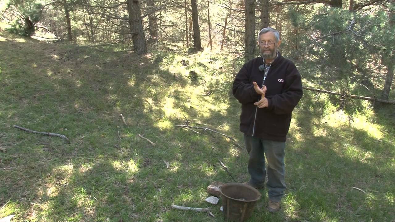 L'argent des Gabales en Lozère