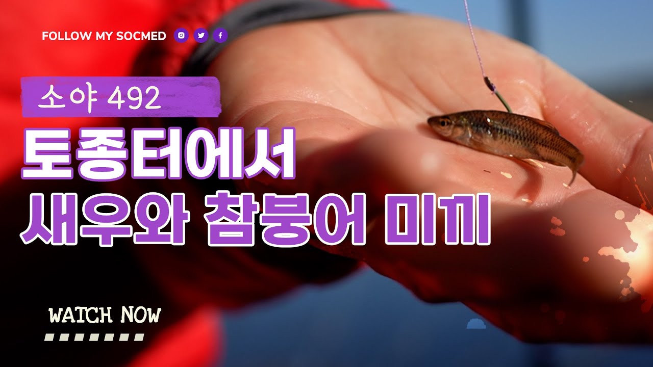 토종터에서 새우와 참붕어 미끼로 12월의 대물 붕어를 노려보는데