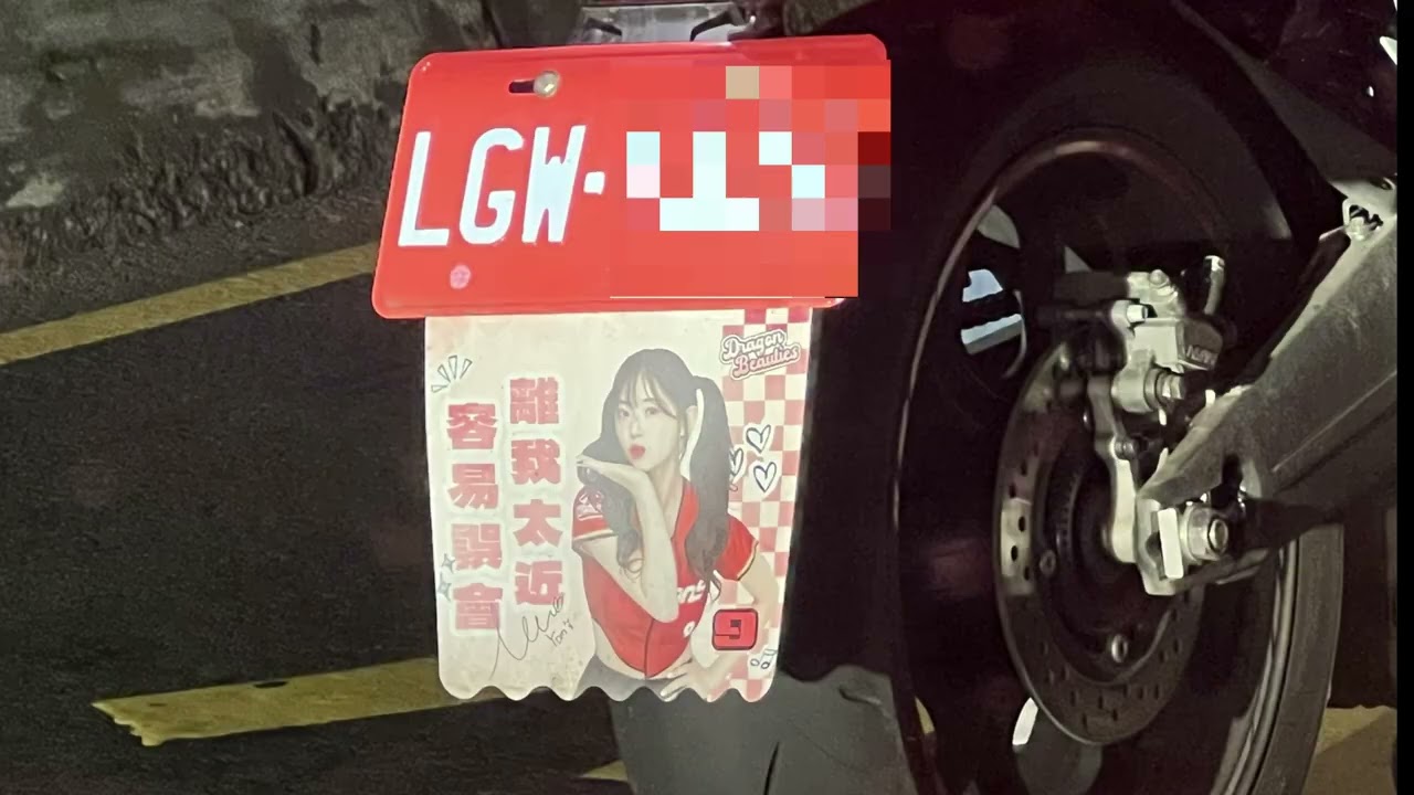 中華職棒 味全龍啦啦隊 9 金娜妍 김나연 摩托車 擋泥板