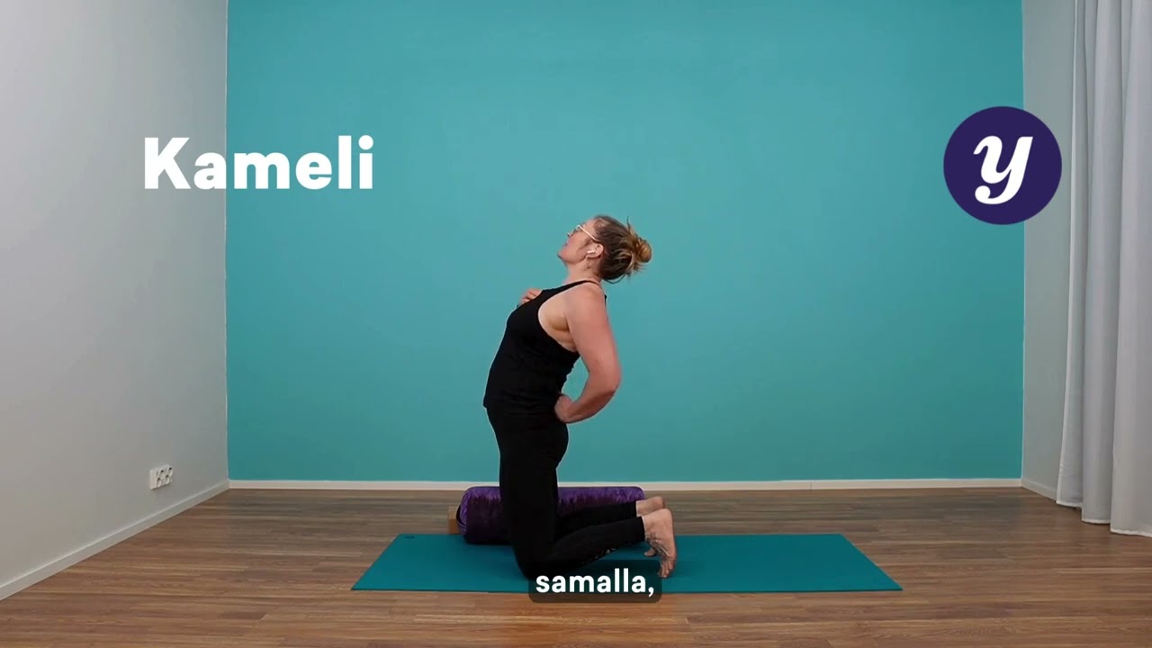 Kameli - Ustrasana