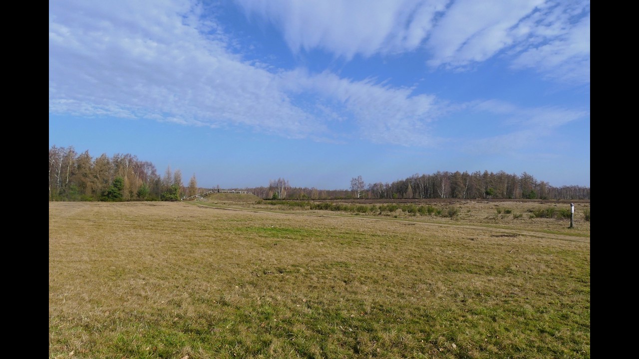 Wanderung durch die Drover Heide