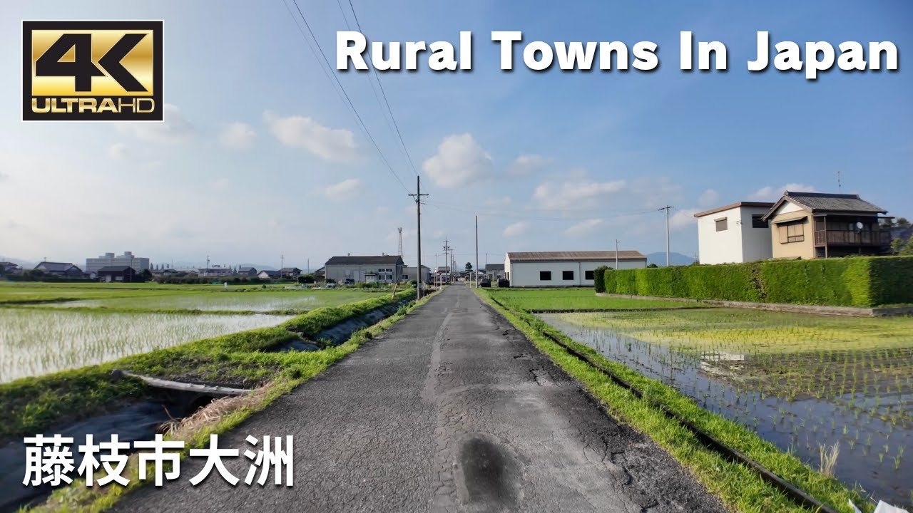 藤枝市大洲 - Rural Towns In Japan / Walking tour / Japan / DJI Osmo Pocket 3