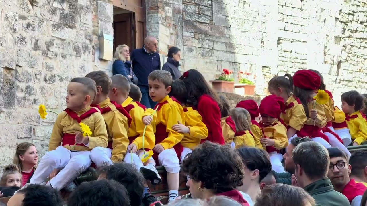 Discesa dei Ceri 2024